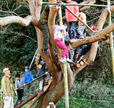 里山ふれあい祭り－木の上から竹竿を滑り降りる